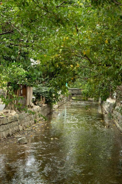 Kyoto Hatsune Hotel Exterior foto